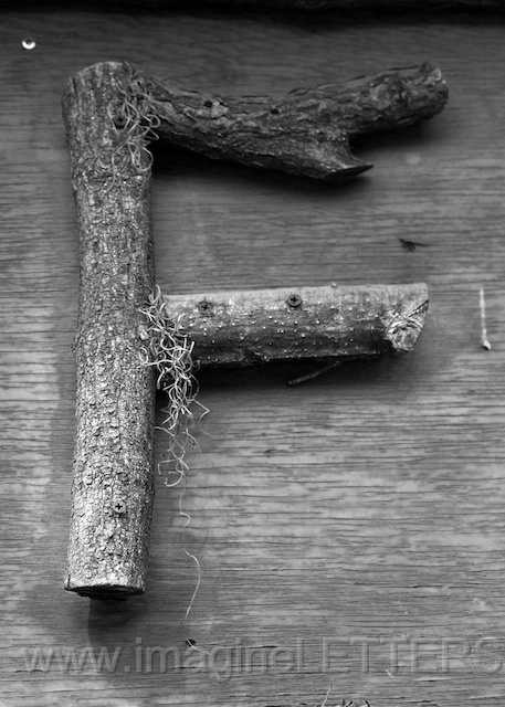 Wall_Art_Alphabet_Photography_Art_ 593.jpg